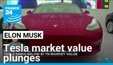 Tesla sinks below $1tn market value amid Musk backlash • FRANCE 24 English