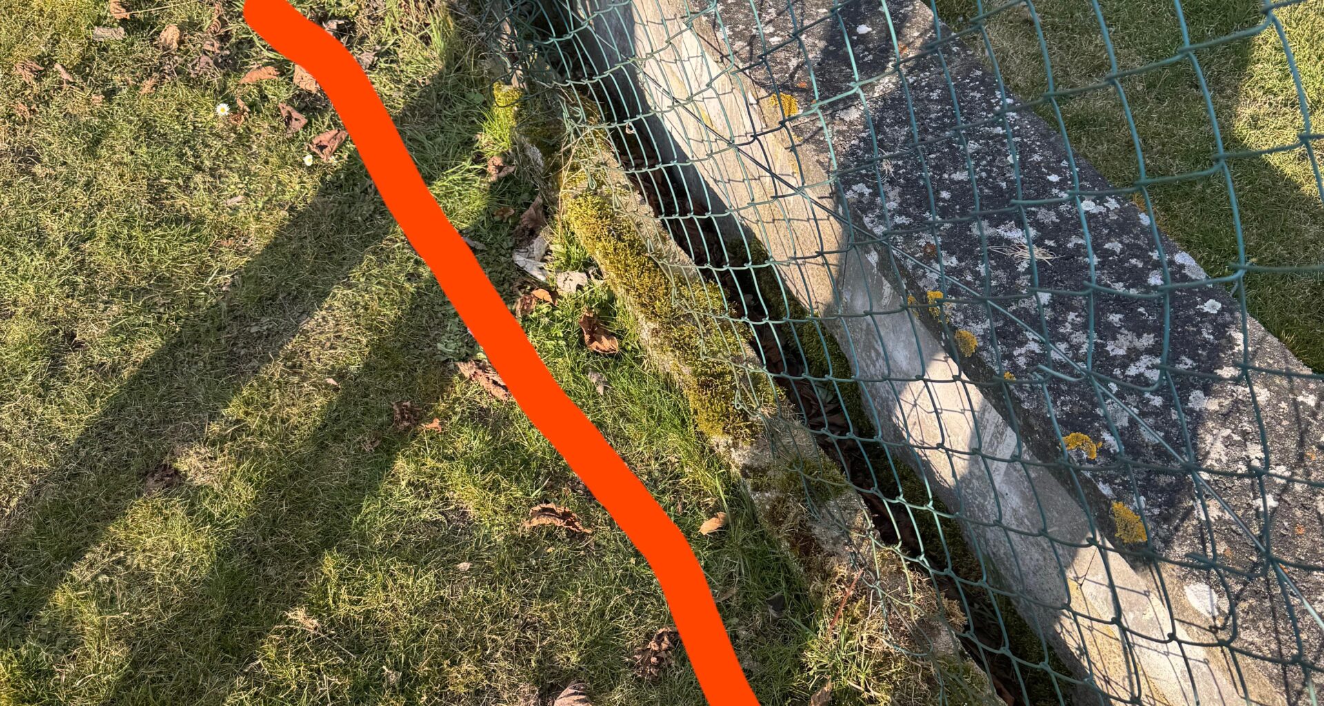 Zaunerneuerung