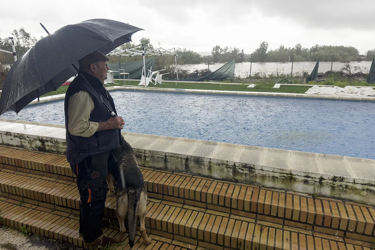 Lluvias en Madrid y resto de España: estado de las carreteras, en directo | Una gran crecida de los ríos Adaja y Chico vuelve a inundar buena parte del sur de Ávila