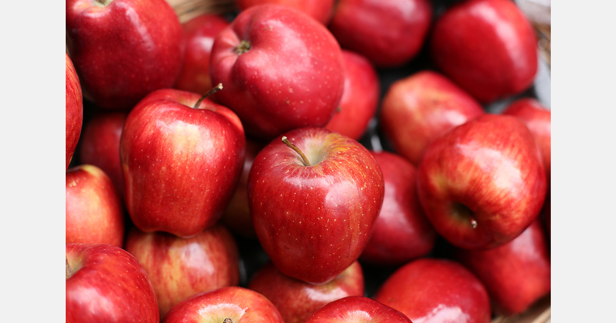 Moldova begins exports to India and remains solid player in apple exports