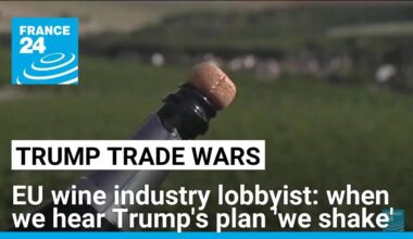 'When we hear about the Trump tariff announcement, we shake', EU wine industry lobbyist says