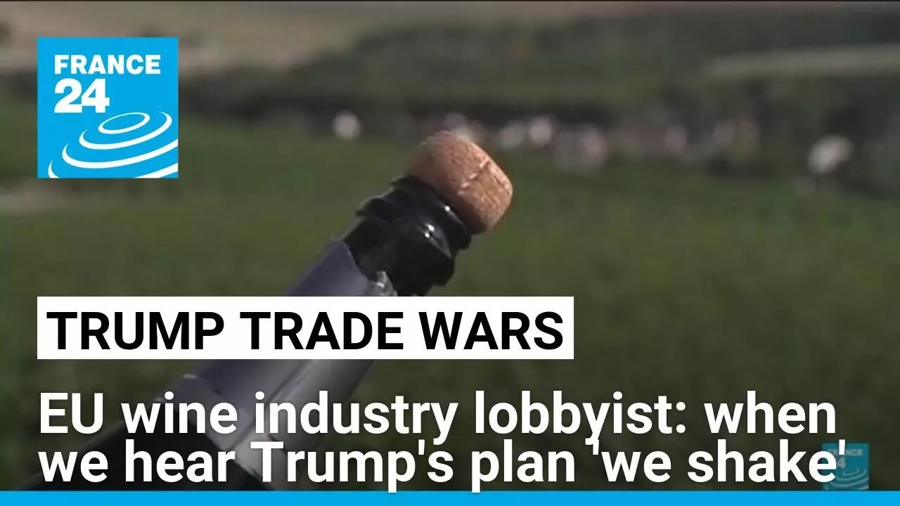 'When we hear about the Trump tariff announcement, we shake', EU wine industry lobbyist says
