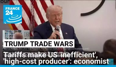 Imposition of tariffs makes US an inefficient 'high-cost producer', economist says • FRANCE 24