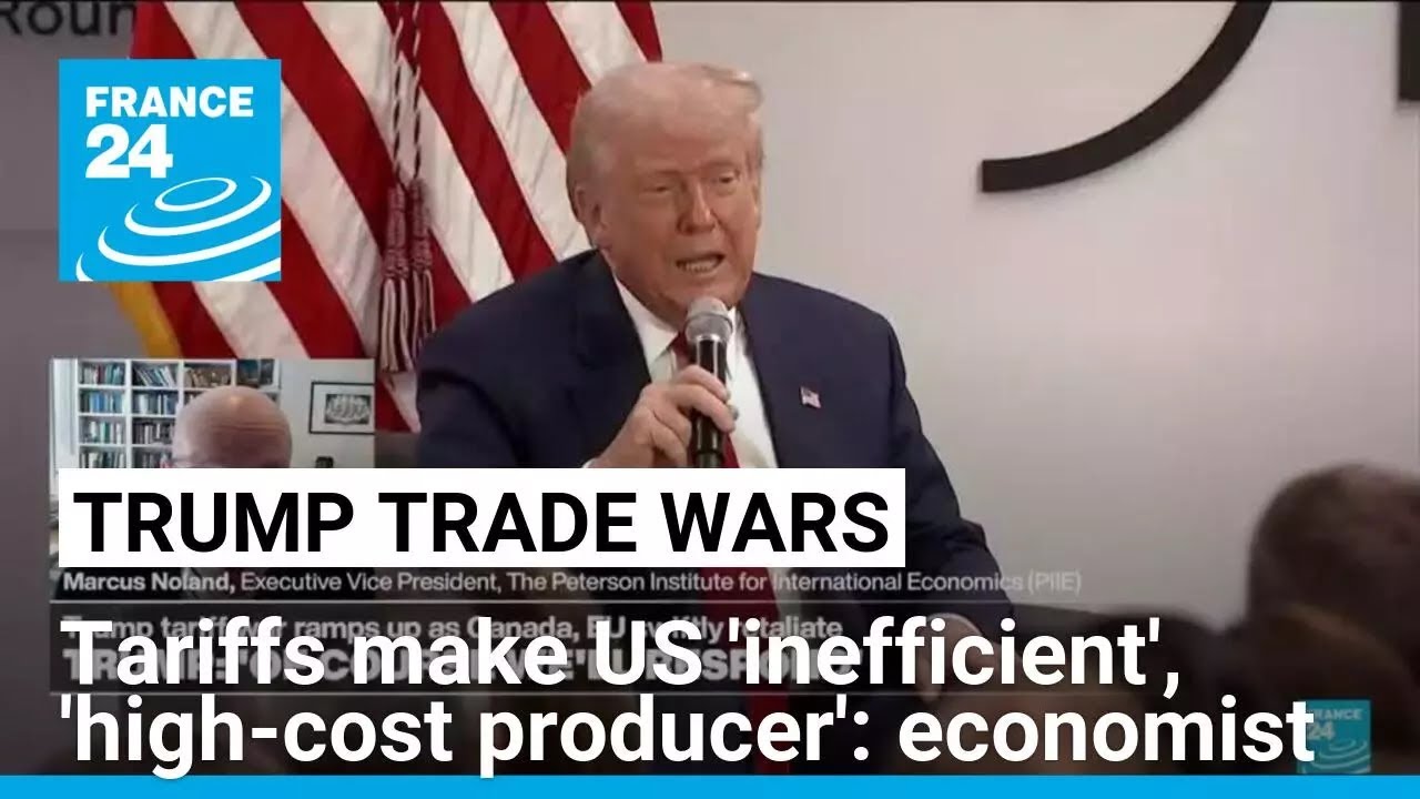 Imposition of tariffs makes US an inefficient 'high-cost producer', economist says • FRANCE 24