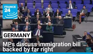 German MPs discuss immigration bill backed by far right • FRANCE 24 English