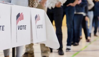 How the White House plans to influence U.S. elections