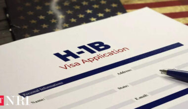 This ecommerce major bagged maximum H-1B visas in 2024; Elon Musk's Tesla among top sponsors