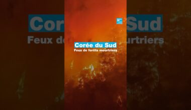 Corée du Sud : feux de forêts meurtriers • FRANCE 24