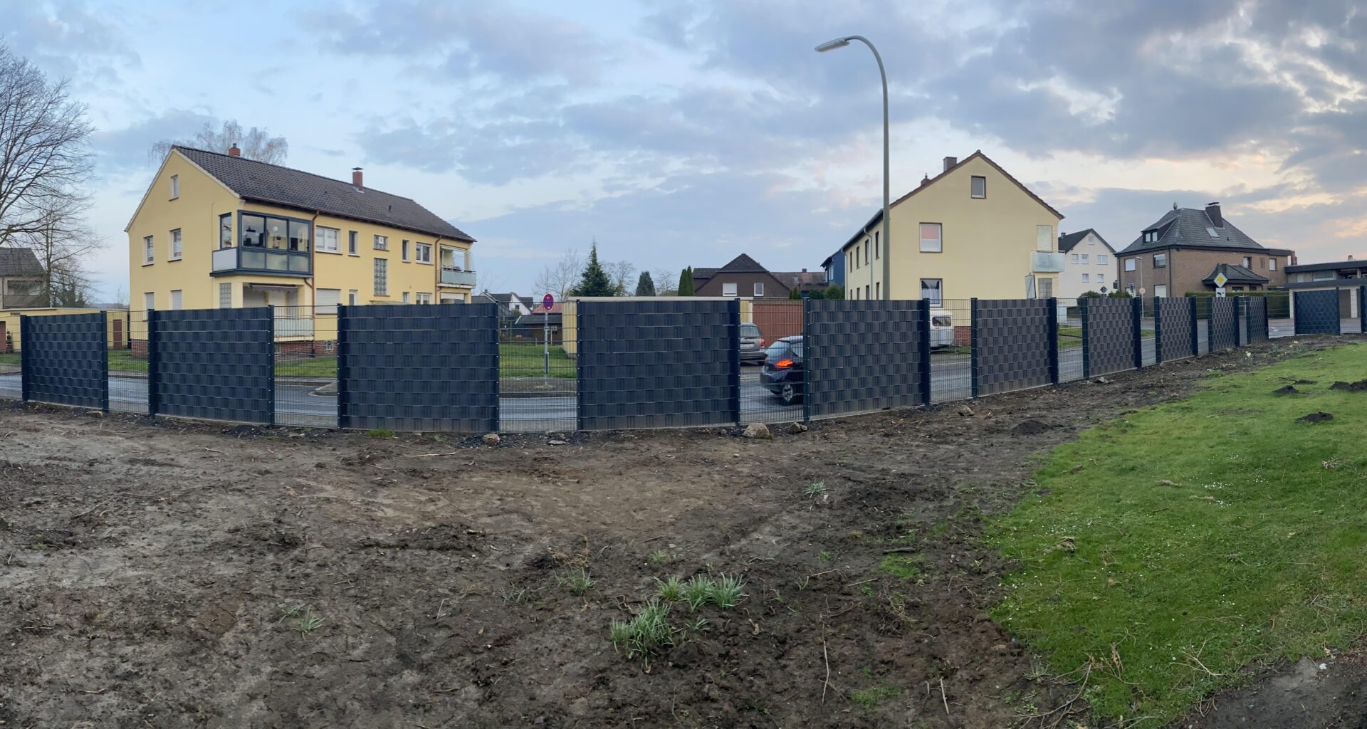 Zaun bepflanzen - Sichtschutz