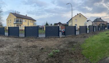 Zaun bepflanzen - Sichtschutz