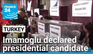Jailed Istanbul mayor Imamoglu declared opposition presidential candidate • FRANCE 24 English