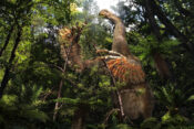 Duonychus tsogtbaatari
