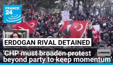 Turkey's CHP needs to broaden protest beyond party to maintain momentum, researcher says