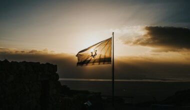 IDF claims drone strike killed Hezbollah anti-tank commander Hassan Kamal Halawi | Indiablooms