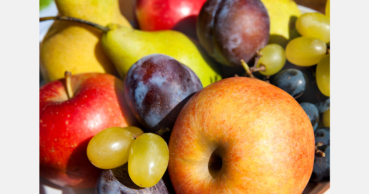Moldova eyes Nepal as a new market for fresh fruits
