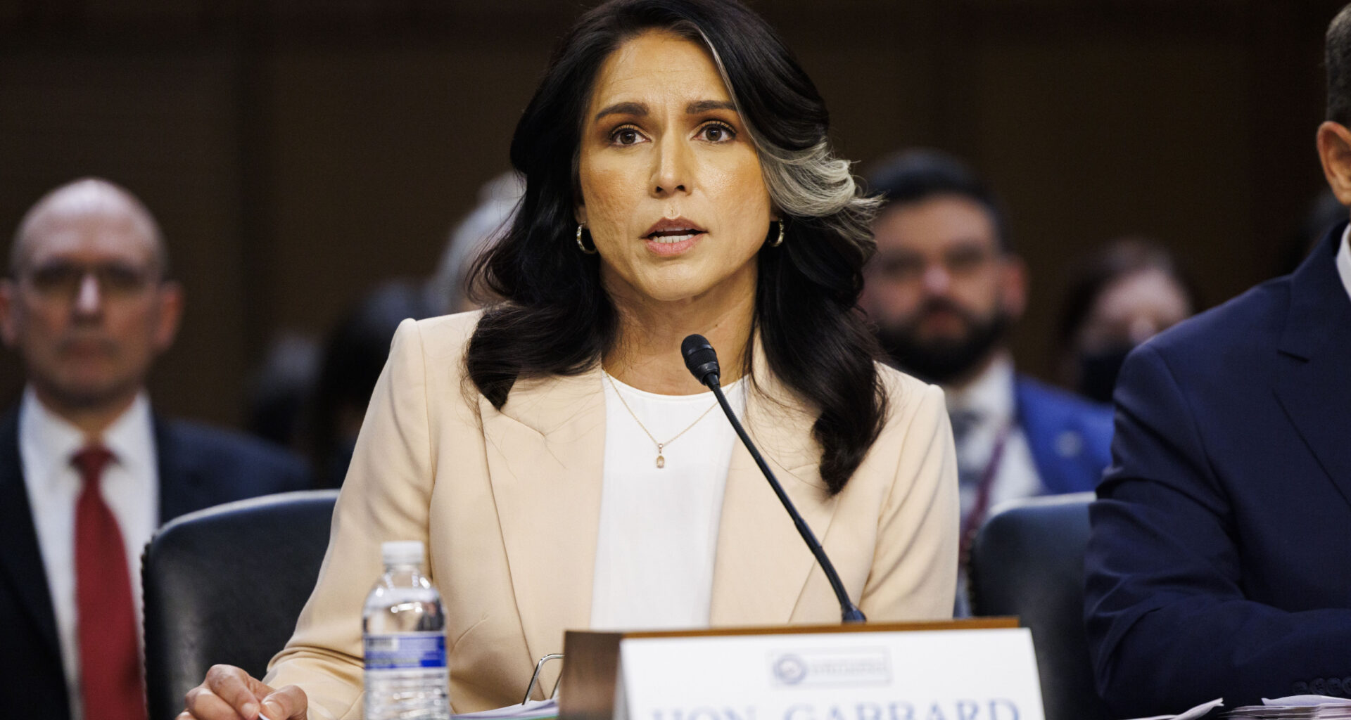 Tulsi Gabbard, Director of National Intelligence