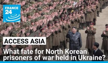 North Korean prisoners of war in Ukraine: Why does South Korea want to take them in? • FRANCE 24