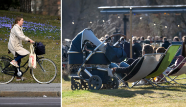 Sommarväder på väg – då kan det bli över 20 grader