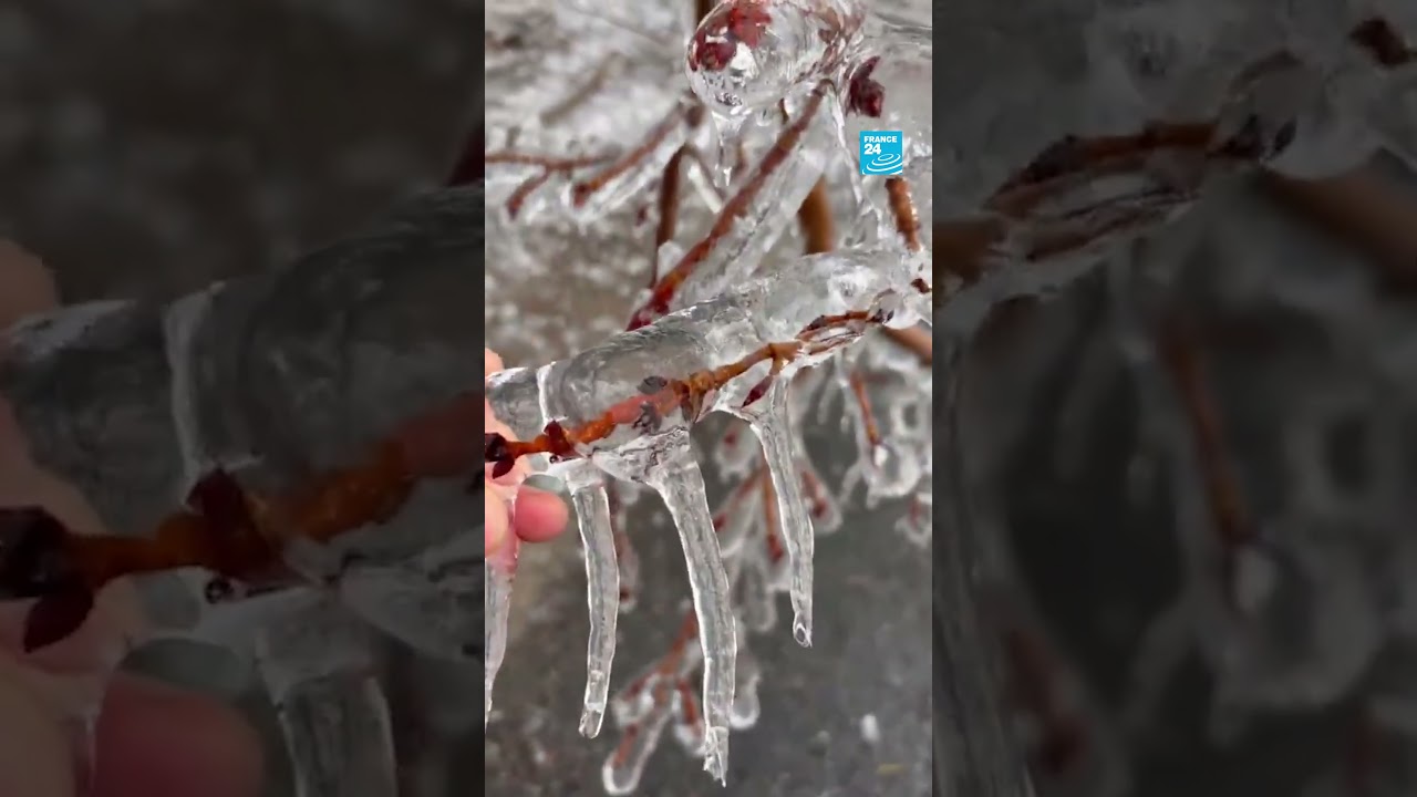 🇨🇦❄️ An ice #storm hits eastern #Canada  • FRANCE 24 English