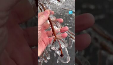 🇨🇦❄️ L'est du #Canada est frappé par une tempête de #neige • FRANCE 24