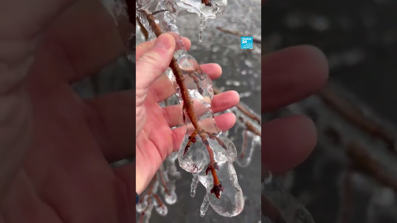 🇨🇦❄️ L'est du #Canada est frappé par une tempête de #neige • FRANCE 24