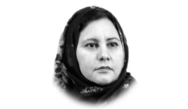the writer is a geopolitical analyst she also writes at globaltab net and tweets aneelashahzad