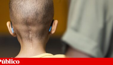 Quase 30 anos depois, Portugal pediu adesão à Agência de Investigação em Cancro | Política científica