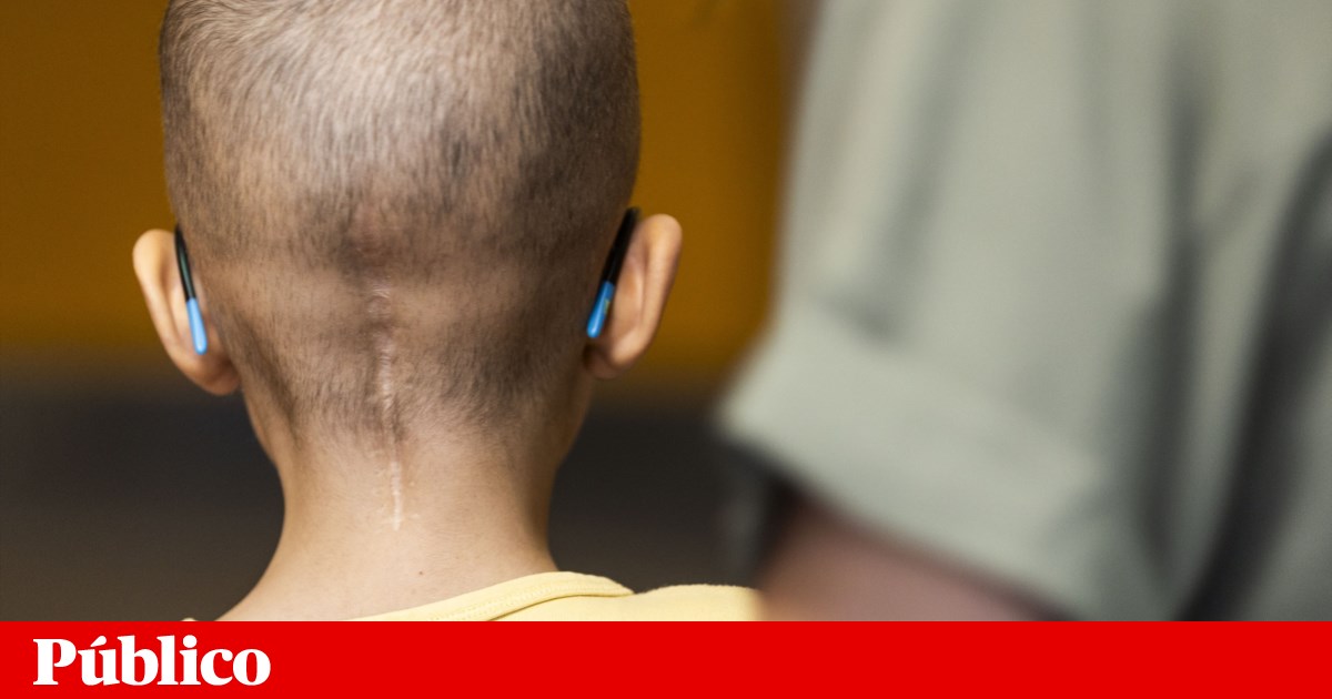 Quase 30 anos depois, Portugal pediu adesão à Agência de Investigação em Cancro | Política científica
