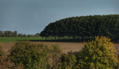 Lower temperatures and rain expected in Bulgaria on Friday