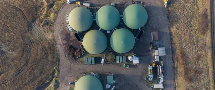 Biofuel