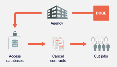 The DOGE Playbook Targeting Federal Agencies
