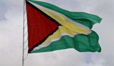 Guyana Flag