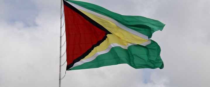 Guyana Flag