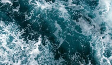 Waves