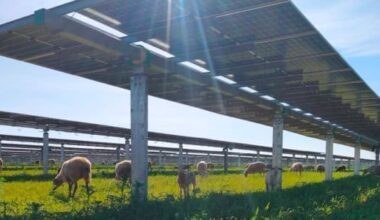 solar italy