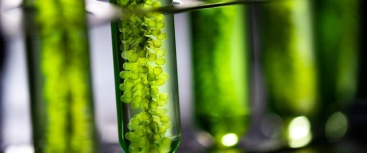 Biofuels