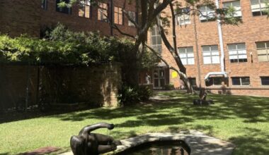UNSW Minerals and Mining Engineering and Petroleum Engineering ranked in global top 10