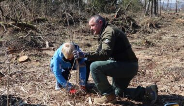 Slovenia plants 2,000 trees to counter climate threat on Int'l Forest Day-Xinhua
