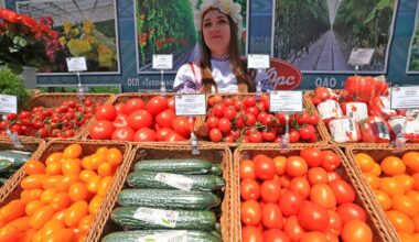 China shows dedication to peaceful development, says Belarusian expert-Xinhua