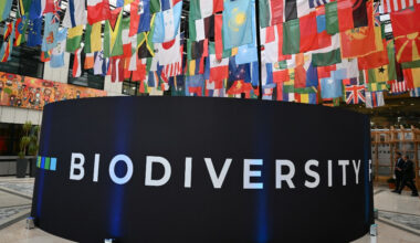 UN nature talks unlock $200 billion deal for conservation