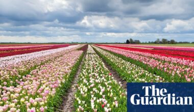 ‘I cycled through flower fields stretching as far as the eye can see’: readers’ favourite European spring breaks | Top 10s