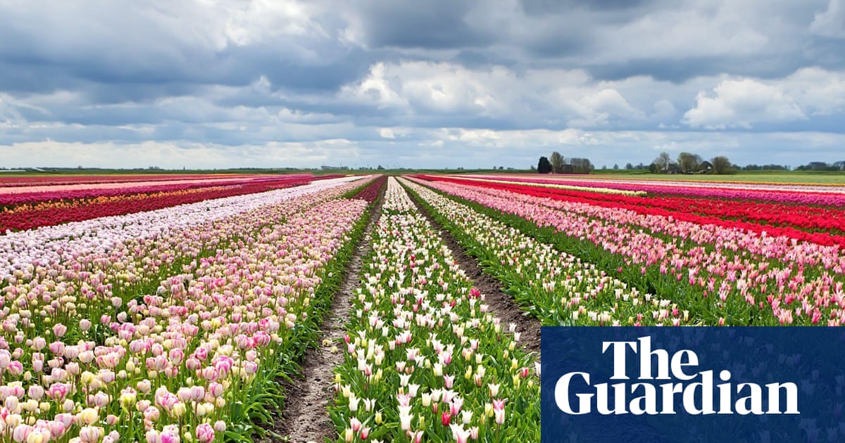 ‘I cycled through flower fields stretching as far as the eye can see’: readers’ favourite European spring breaks | Top 10s