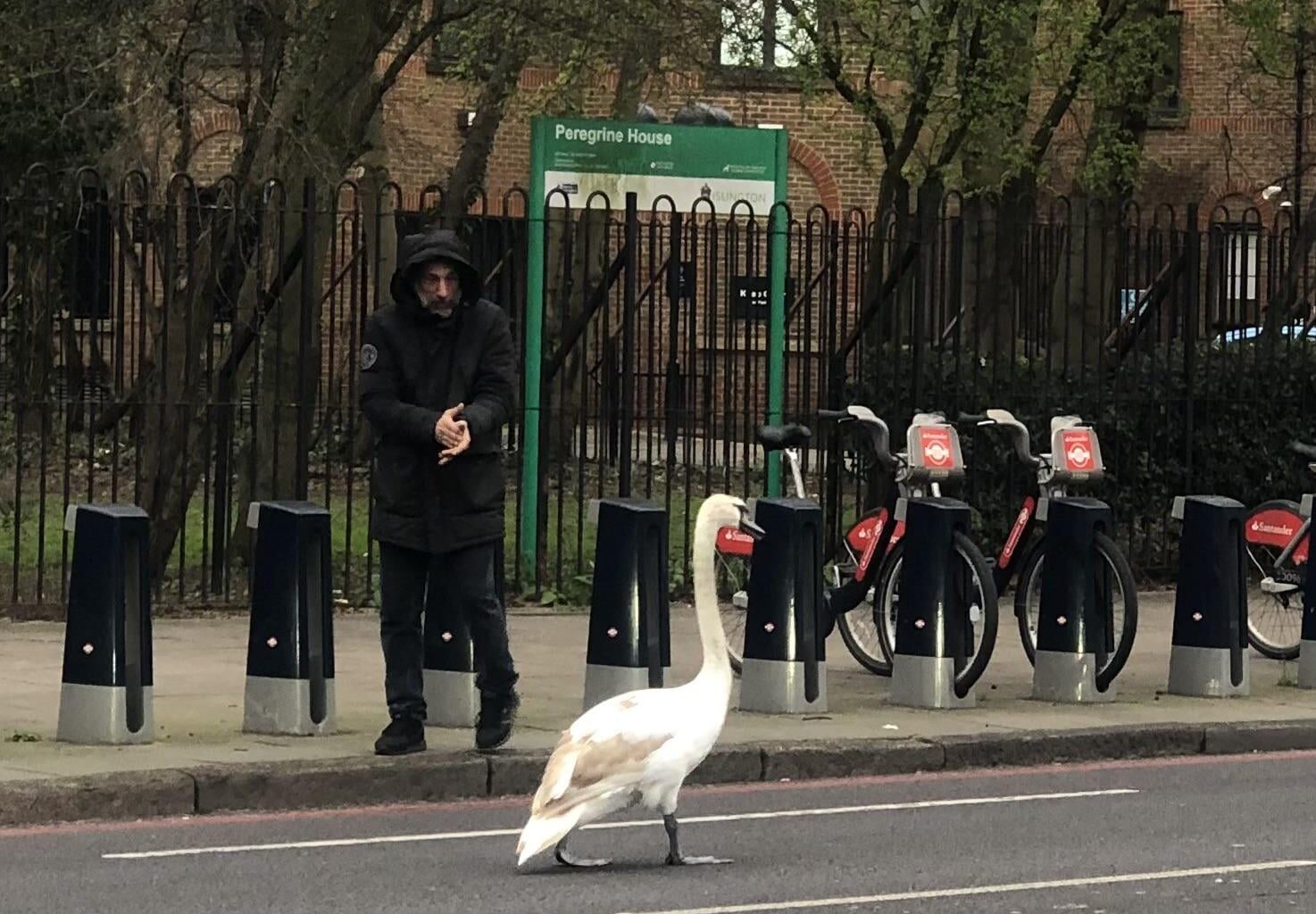 Someone out causing traffic today on city Road