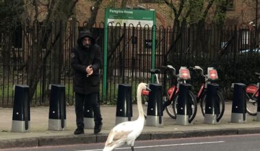 Someone out causing traffic today on city Road