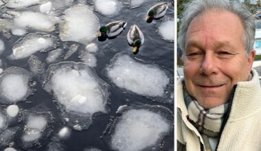 Bakslag för vårvädret – kylan kommer tillbaka – Sundsvalls Tidning