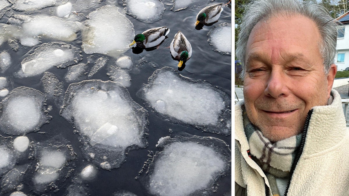 Bakslag för vårvädret – kylan kommer tillbaka – Sundsvalls Tidning