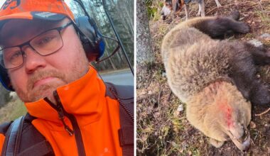 Jägare attackerad av björn i Bollnäs Vallsta