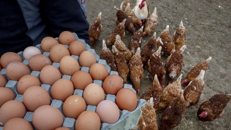 Ist Europa bereit zu helfen?