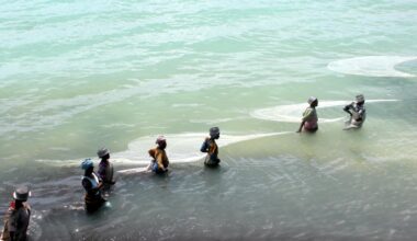 Blog: Breaking the cycle - gender equality in climate governance and finance