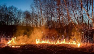 Hohe Waldbrandgefahr: Deutschland braucht dringend Regen | Leben & Wissen